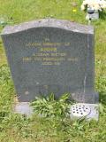 image of grave number 503077